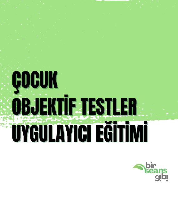 ff-088bb24279590ddb07717267ced642e5-ff-cocuk-objektif-testler-site